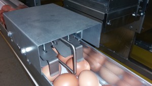 egg-counter